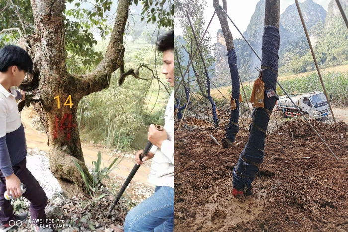 首页- 必发集团有限公司官方网站