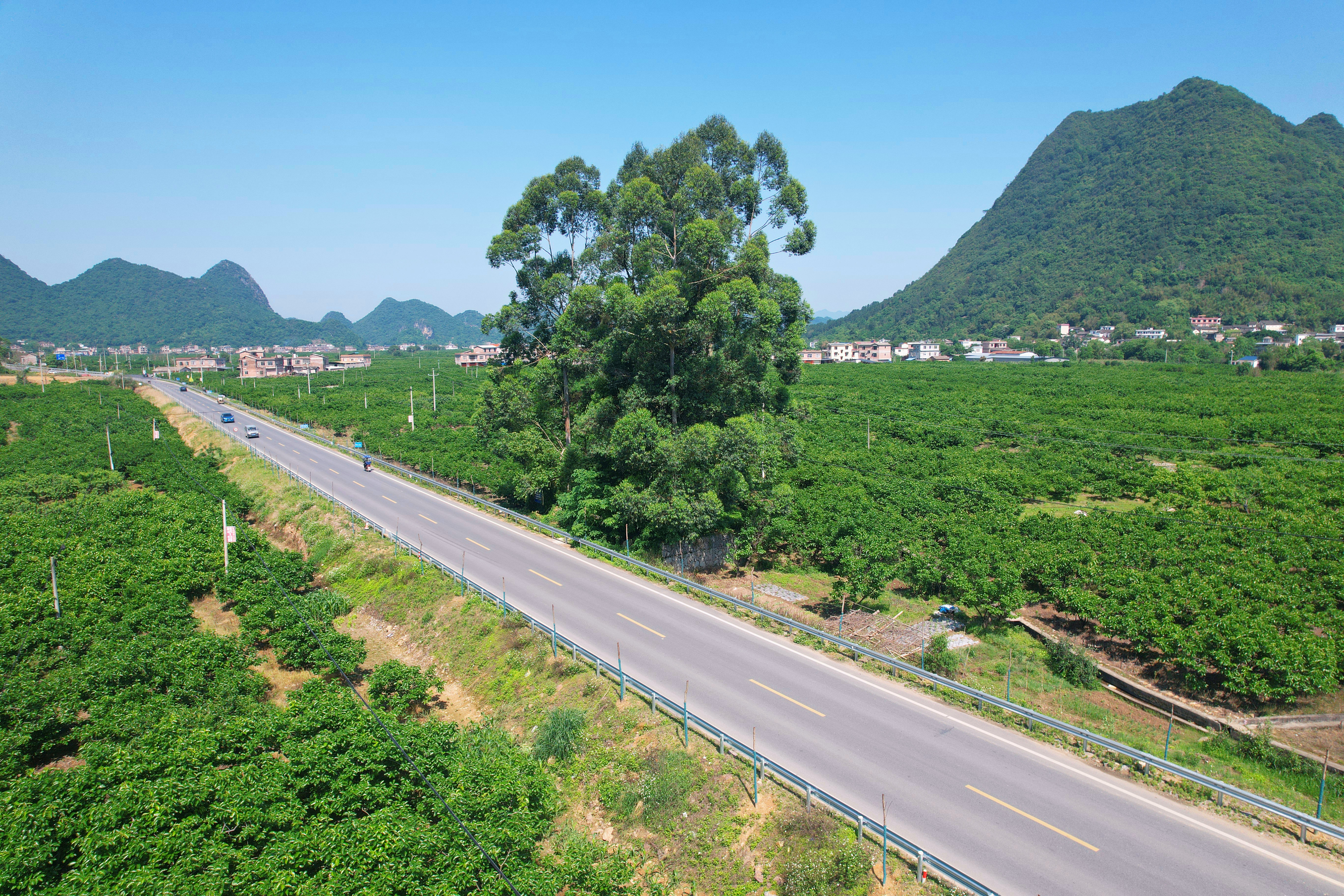 首页- 必发集团有限公司官方网站