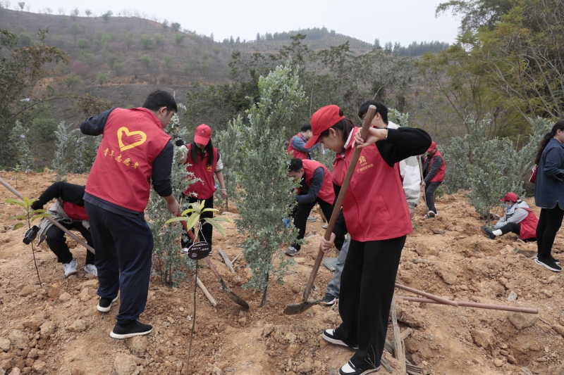 首页- 必发集团有限公司官方网站