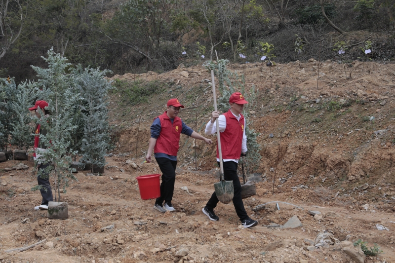 首页- 必发集团有限公司官方网站